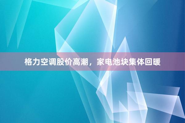 格力空调股价高潮，家电池块集体回暖